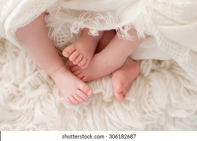 A Closeup Shot Of The Feet Of Twin Girl Babies. Shot In The Studio On A Sheepskin Rug.