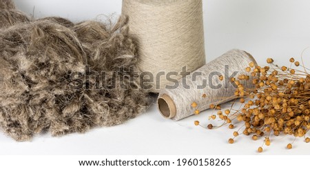 Close-up shot of flax fiber with evenly wound bobbins and a bouquet of dry flax on a white background.