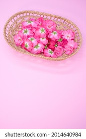 A Closeup Shot Of Fresh Hungarian Roses On A Woven Basket Isolated On Pink Background