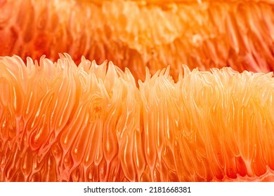 Close-up Shot Of Fresh Juicy Grapefruit Pulp. Citrus Fruit Texture Background