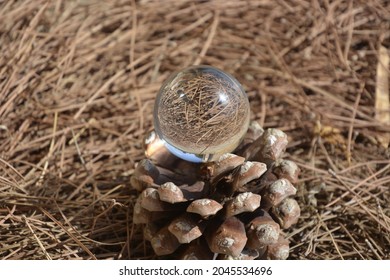 Close-up Shot Of A Glass Sphere That Reflects The Whole Environment That Surrounds It By Turning It Upside Down