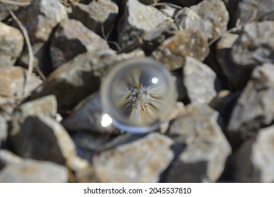 Close-up Shot Of A Glass Sphere That Reflects The Whole Environment That Surrounds It By Turning It Upside Down