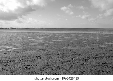 A Closeup Shot Of A Gray Wet Ground And Fields With Gray Sky In The Background