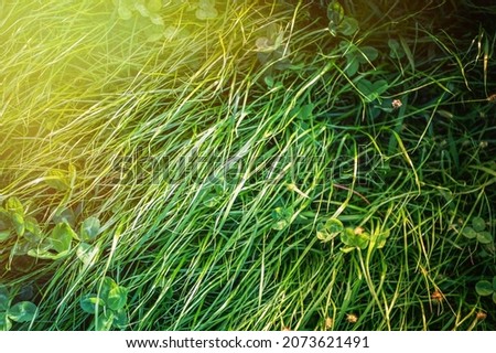 Similar – Image, Stock Photo lightning rain Nature