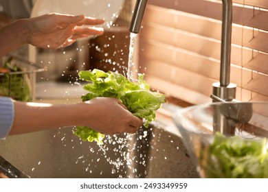 Close-up shot of hands washing fresh lettuce under running water in a kitchen sink. The sunlight streams through the window blinds - Powered by Shutterstock