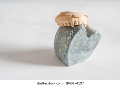A closeup shot of heart-shaped stone with teeth molder against a white background