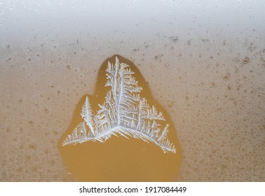 A Closeup Shot Of Icy Floral Patterns On The Glassy Surface