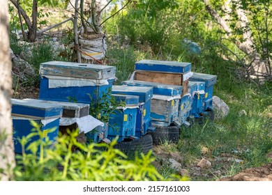 Close-up shot of large and small blue beehives with selective focus.