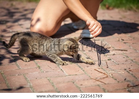Closeup shot of little girl playing with kitten outdoor