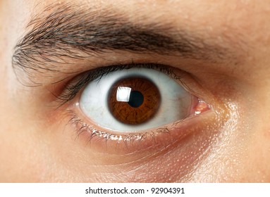 close-up shot of man brown eye