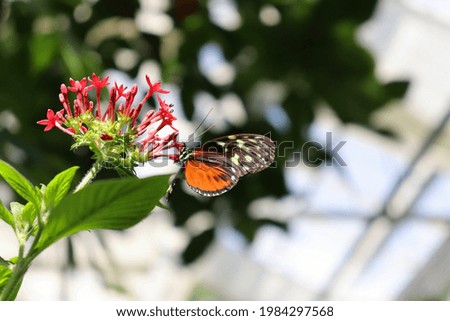 Similar – Foto Bild Bodensee