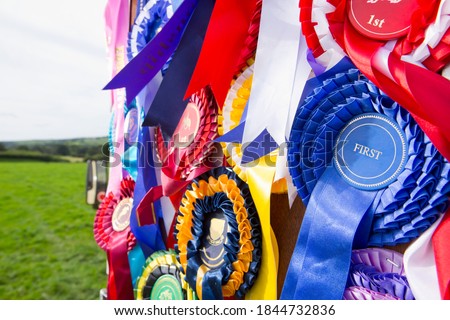 Close-up shot of multiple equestrian rosettes in different colors hanging on a door.