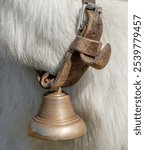 A closeup shot of an old leather collar with a rusty bell on an animal neck