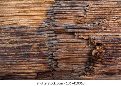  A Close-up Shot Of A Piece Of Wood Beam