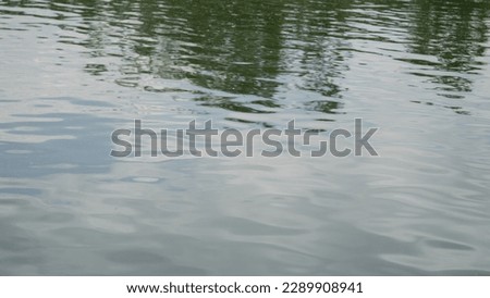 closeup shot of pond water surface