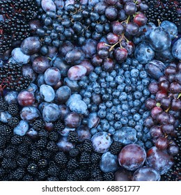 CLOSEUP SHOT OF PURPLE FRUIT COMPOSITION.  Blackberry Blueberry Elder Greengage Plum 