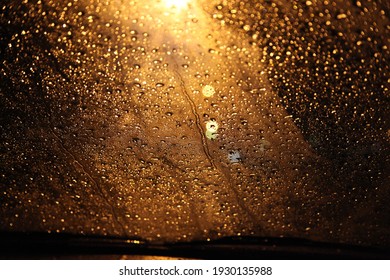 A Closeup Shot Of Raindrops On The Windshield Of A Car With A Bright Streetlight In The Background