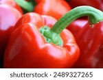 A closeup shot of a red bell pepper