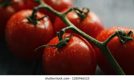 Closeup shot of red ripe cherry tomatoes with water drops on green branch 