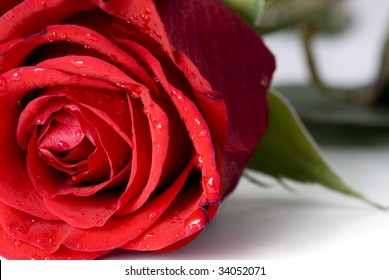Close-up shot of a red rose bud with water drops on petals