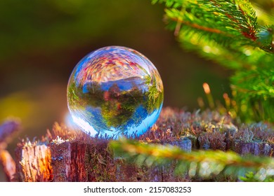 A closeup shot of a reflective glass ball on a sunny day in the Thuringian Forest, Germany