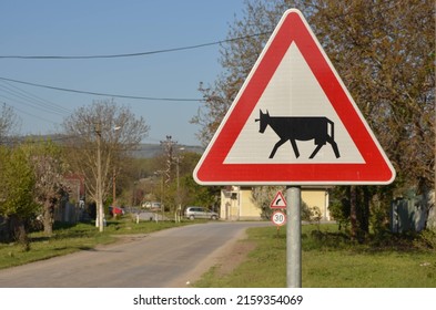 A close-up shot of a road sign warning the drivers about the cattle a sunny day