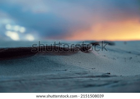 Similar – Starfish on a beach