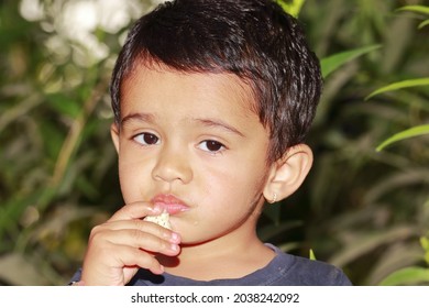 A Closeup Shot Of A South Asian Child Trying Something Out Of The Garden