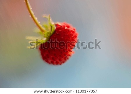 Similar – Image, Stock Photo red wild strawberry