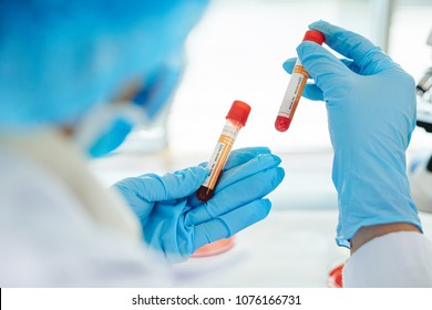 Close-up Shot Of Unrecognizable Doctor Wearing Rubber Gloves And White Coat Holding Blood Test Tubes In Hands While Wrapped Up In Work At Modern Lab