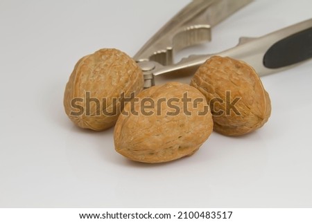 A closeup shot of walnuts with a metal nutcracker on a white background