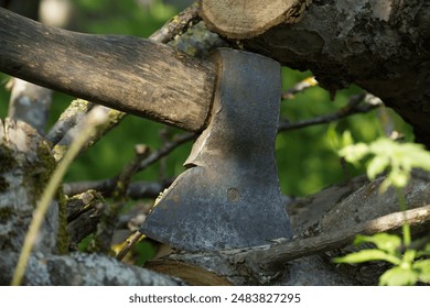 Close-up shot of a weathered axe set in a tree stump surrounded by lush greenery. Perfect for themes of woodwork, gardening, and rustic tools. - Powered by Shutterstock