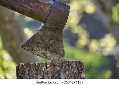 Close-up shot of a weathered axe set in a tree stump surrounded by lush greenery. Perfect for themes of woodwork, gardening, and rustic tools. - Powered by Shutterstock