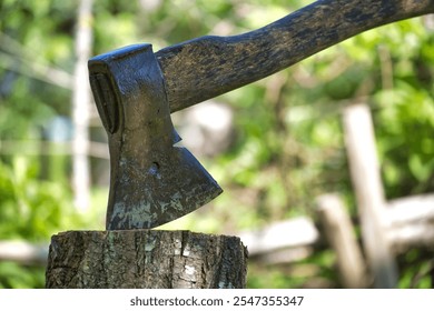 Close-up shot of a weathered axe set in a tree stump surrounded by lush greenery. Perfect for themes of woodwork, gardening, and rustic tools. - Powered by Shutterstock