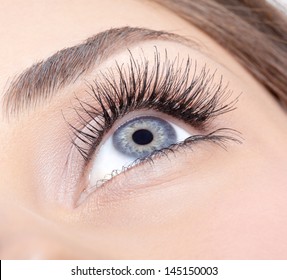 Closeup Shot Of Woman Eye With Day Makeup