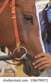 Close-up shot of a woman rubbing a brown horse's head.