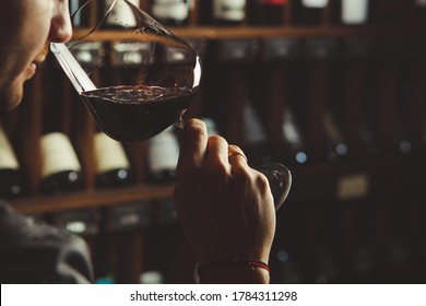 Close-up shot of young sommelier smell red wine on wine cellar background.