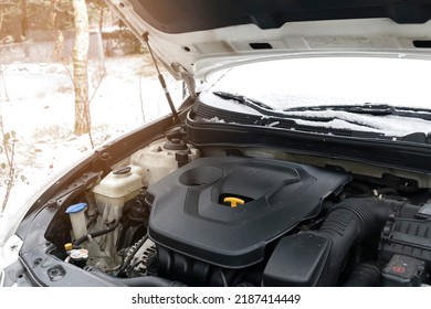 Close-up Side View Of Auto Checking Engine Oil Level In Car, Workshop, Garage. Car Repairing Service With Open Hood,outside Backyard In Winter
