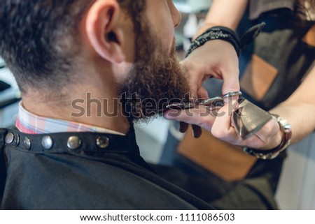 Close-up side view of the head of a young man and the hands of a skilled hairstylist, trimming his beard with comb and scissors in a cool hair salon