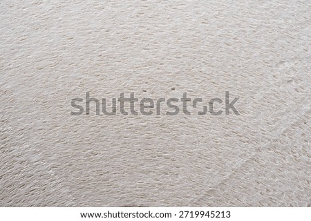 Close-up side view of a paper roll revealing fine, layered sheets and fibrous texture.