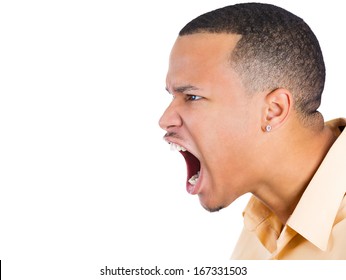 Closeup Side View Profile Portrait Of Angry Man With Wide Opened Mouth, Yelling, Isolated On White Background, Space To Left. Negative Emotion Facial Expression Feelings. Conflict Problems And Issues