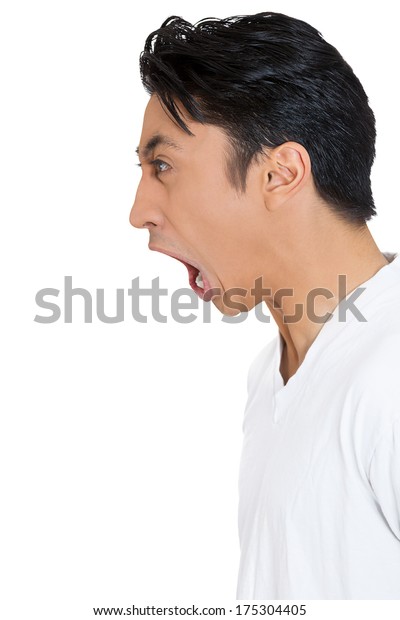 Closeup Side View Profile Portrait Angry Stock Photo 175304405 