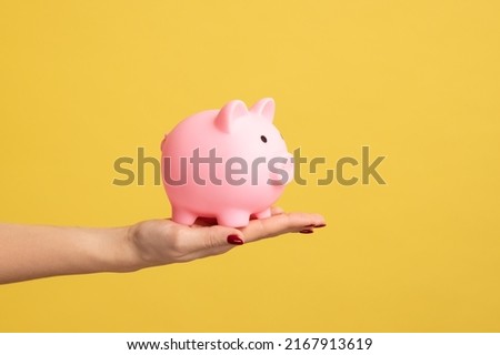 Closeup side view shot of woman hand holding pink piggy bank, investment, saving money, currency, deposit. Indoor studio shot isolated on yellow background.