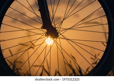 Close-up silhouette of a bike wheel at sunset. The sun shines through the wheel of a bicycle, selective focus - Powered by Shutterstock