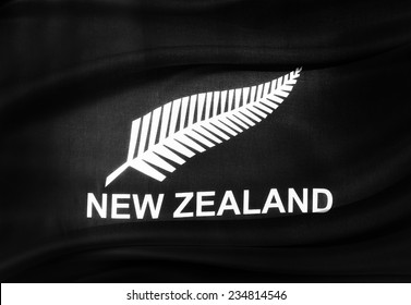Closeup of silky New Zealand silver fern flag