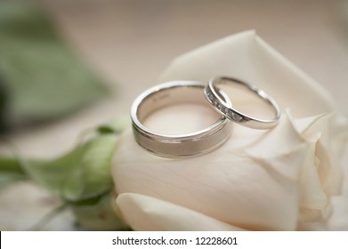 Closeup of silver wedding rings on white rose, DOF focus on diamonds