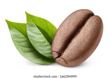 Close-up Of A Single Coffee Bean With Leaves, Isolated On White Background