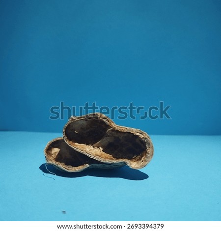 A close-up of a single empty, cracked open peanut shell resting on a solid, vibrant blue background in a minimalist composition.