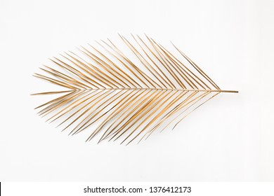 Closeup of single shiny golden painted date palm leaf on flat white background isolated. Luxury tropical wedding invitation card template. Copy space, room for text, lettering.