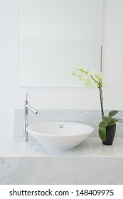 Closeup Of A Sink And Potted Plant In The Bathroom